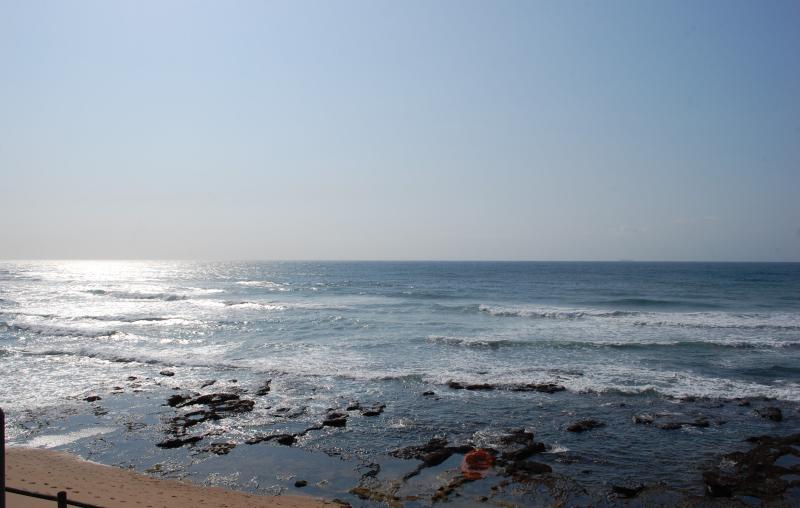 More public input for Bluff beach upgrade plans Southlands Sun